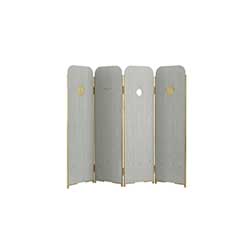 Blink ���L (ľ�|(zh��)��Ļ) CG-L2111