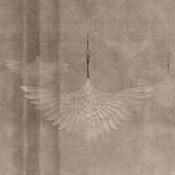 �Q��-ԭ��(chu��ng)���Ʊڮ� CG-NDC5010