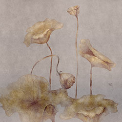 ���-ԭ��(chu��ng)���Ʊڮ� CG-NDC5125