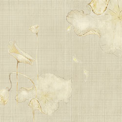 ���-ԭ��(chu��ng)���Ʊڮ� CG-NDC5130