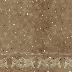 �Ř�-ԭ��(chu��ng)���Ʊڮ� CG-NDC5134