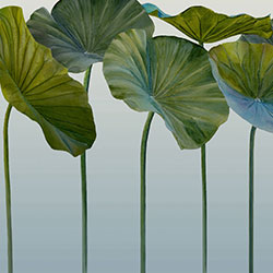 ���-ԭ��(chu��ng)���Ʊڮ� CG-NDC5141