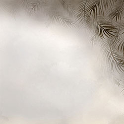 �Pβ-ԭ��(chu��ng)���Ʊڮ� CG-NDC5161