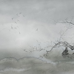 ÷-ԭ��(chu��ng)���Ʊڮ� CG-NDC5199