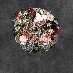 �A��-ԭ��(chu��ng)���Ʊڮ� CG-NDC5234