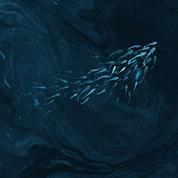 ���~Ϫ��-ԭ��(chu��ng)���Ʊڮ� CG-NDC5239