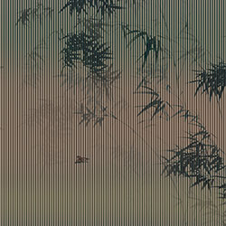 �[��-ԭ��(chu��ng)���Ʊڮ� CG-NDC5247