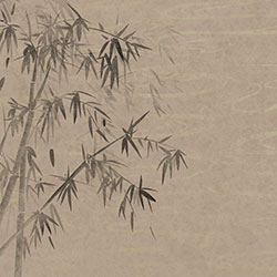 �P��-ԭ��(chu��ng)���Ʊڮ� CG-NDC5249