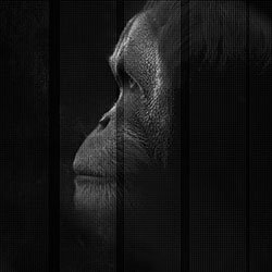 �P��-ԭ��(chu��ng)���Ʊڮ� CG-NDC5040