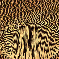 �r��-ԭ�����Ʊڮ� CG-NDC5079