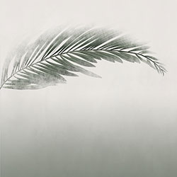 �ؙ�-ԭ�����Ʊڮ� CG-NDC5162