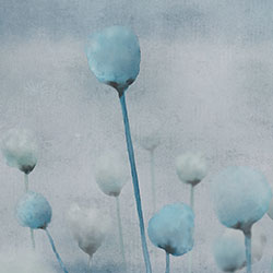 ����-ԭ�����Ʊڮ� CG-NDC5175