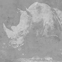 Ϭţ-ԭ��(chu��ng)���Ʊڮ� CG-NDC5185