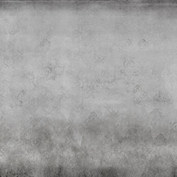 ���Rʿ��-ԭ��(chu��ng)���Ʊڮ� CG-NDC5204