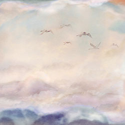 ���B-ԭ��(chu��ng)���Ʊڮ� CG-NDC5214