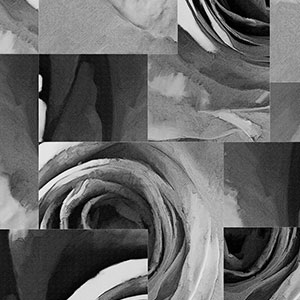 õ��-ԭ�����Ʊڮ� CG-NDC5254