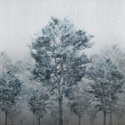 ����-ԭ�����Ʊڮ� CG-NDC5259