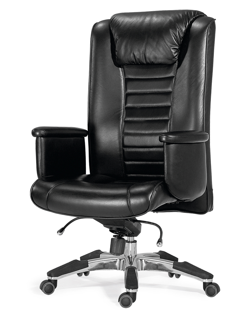 �k����|�F����Ƥ�����|�k���Ҿ�|�F����Ƥ����� CG-EF0311H-D