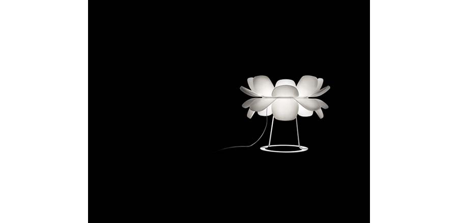 �F(xi��n)����(j��ng)����|�_(t��i)��|�k���Ҿ�|Infiore�F(xi��n)���������_(t��i)�� CGT1111