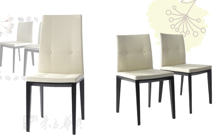 �F���������e��|ľ�����e��|�k���Ҿ�|ľ�|���e��|�F��ľ�|�Σ��r��ľ�|���e�����r�в͏d����ľ�|�ߙn������ľ�|ǢՄ�Σ����e��͏d�������Ӵ���������Ƥ���Σ���ľ����