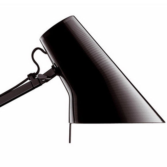 flos �P���_��