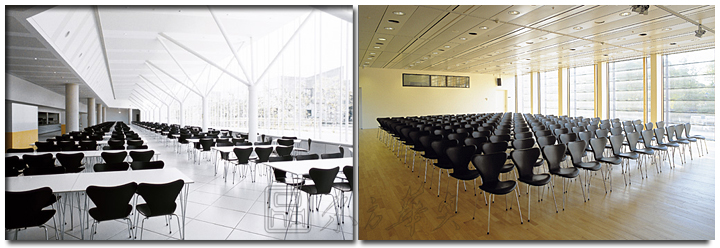 �F���������e��|ľ�����e��|�k���Ҿ�|������|���e�Σ�ǢՄ�Σ���ľ���e�Σ��������e��